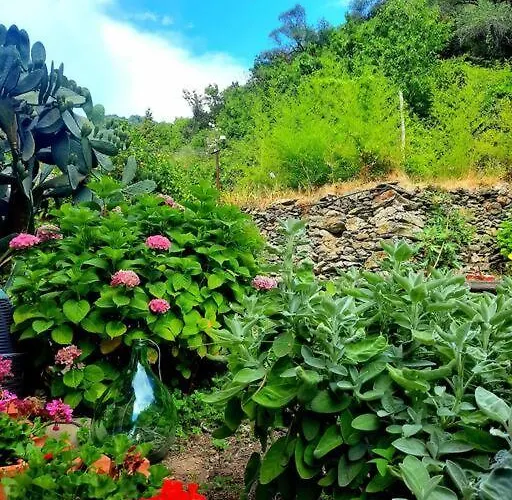 Apartman Il Limoneto Dei Cinque Sensi,apartment With Garden *