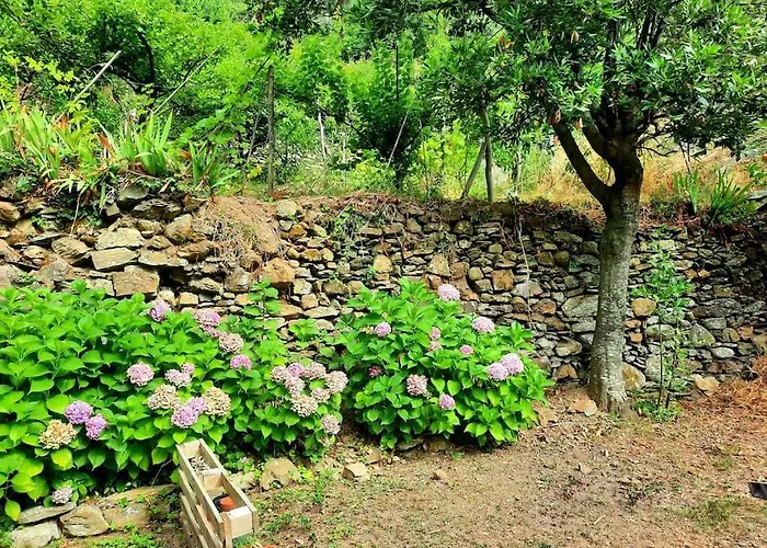 Il Limoneto Dei Cinque Sensi,apartment With Garden
