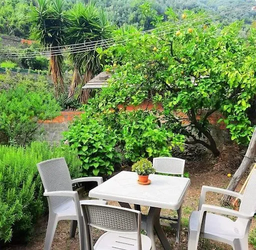 Il Limoneto Dei Cinque Sensi,apartment With Garden * Vernazza