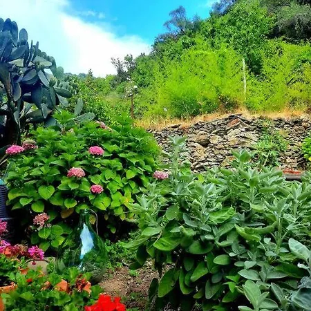 Apartament Il Limoneto Dei Cinque Sensi,apartment With Garden *