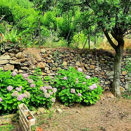 Il Limoneto Dei Cinque Sensi,apartment With Garden