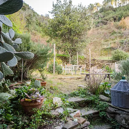 Il Limoneto Dei Cinque Sensi,apartment With Garden 아파트 베르나차