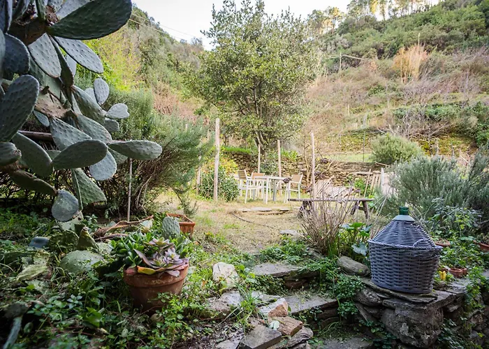 Il Limoneto Dei Cinque Sensi,apartment With Garden Apartament Vernazza